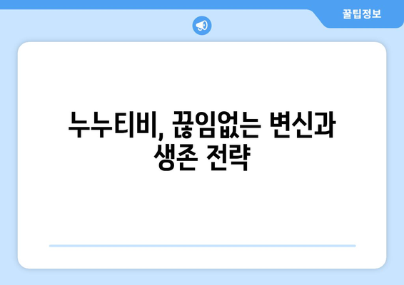 누누티비 없어지지 않는 이유