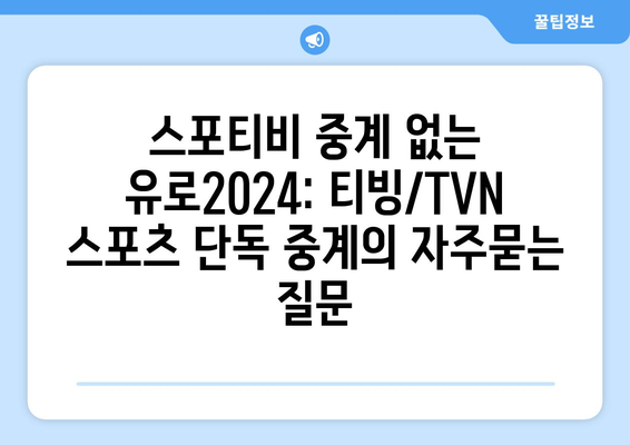 스포티비 중계 없는 유로2024: 티빙/TVN 스포츠 단독 중계