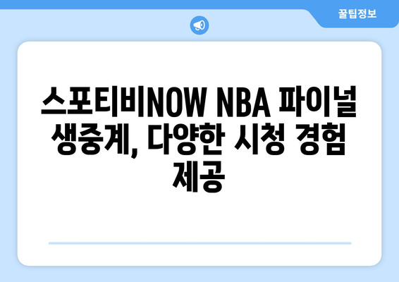 스포티비NOW NBA 파이널 생중계 관람 후기