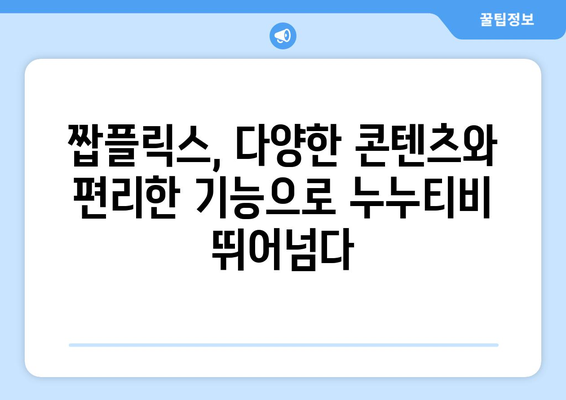 짭플릭스, 누누티비 대체 OTT 콘텐츠 제공