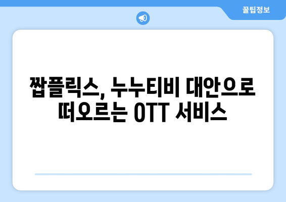 짭플릭스, 누누티비 대체 OTT 콘텐츠 제공