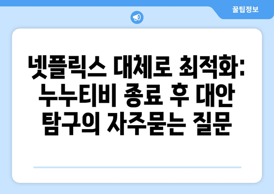 넷플릭스 대체로 최적화: 누누티비 종료 후 대안 탐구