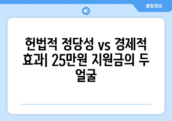 25만 원 지원금: 헌정법 위반 vs 민생고통 해결책