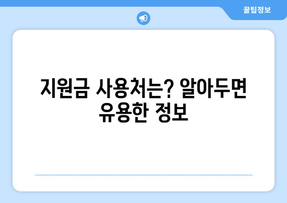 이재명 민생회복지원금 차등 지급 방법 및 신청 절차 안내