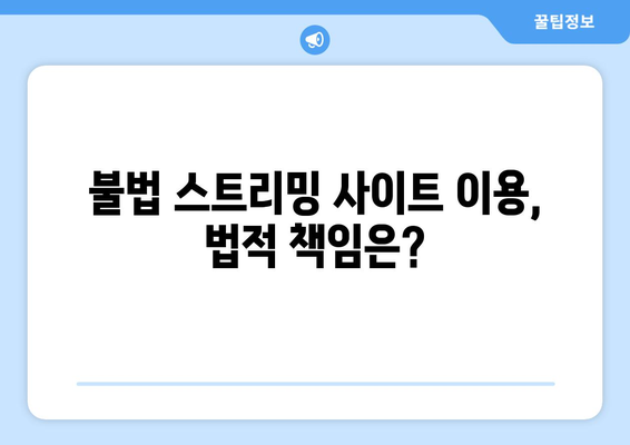 누누티비 대체 수단: VPN과 불법성