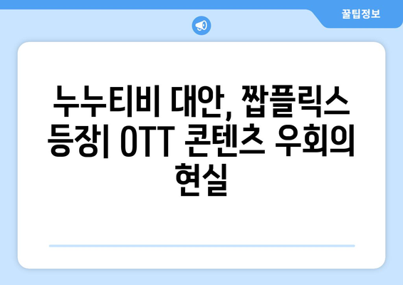 짭플릭스: 누누티비 대체로 오는 OTT 콘텐츠 우회