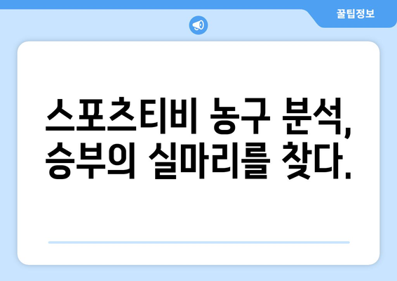 스포츠티비의 농구 분석으로 게임 이해를 높이기