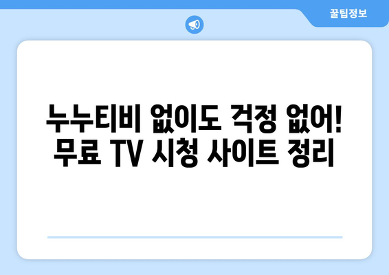 누누티비 대신 공짜 TV 시청 가능한 대안 사이트 찾기