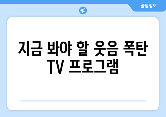 웃기고 재미있는 TV 프로그램