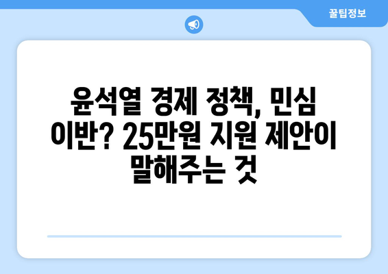 이재명의 25만원 민생지원금 제안: 윤석열 경제 실정 인식 반영