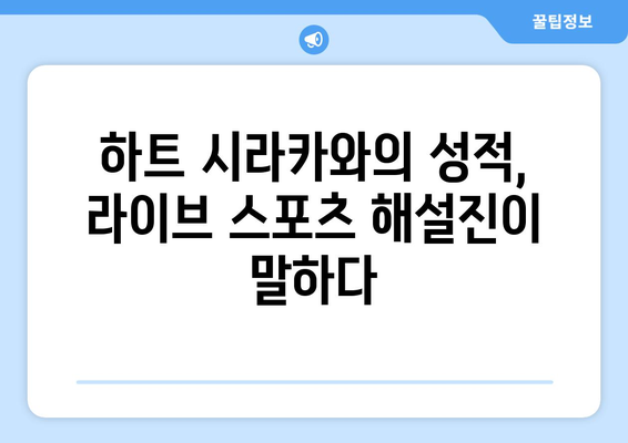 라이브 스포츠 해설진: 스포티비 기자가 소개하는 하트 시라카와 성적