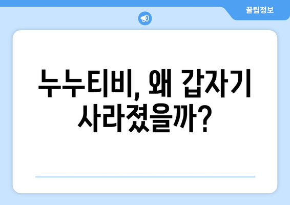 누누티비 폐쇄 이유와 대체 사이트