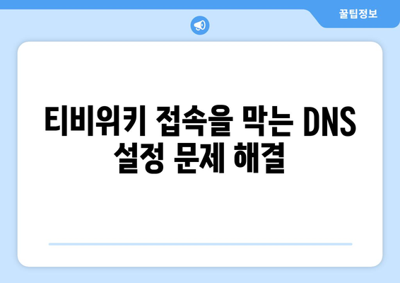 티비위키 접속을 위한 DNS 설정 가이드