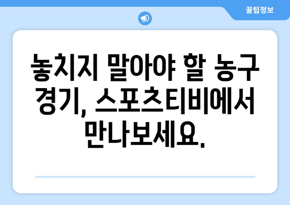 스포츠티비가 선물하는 농구 경기: 몰입적인 시청 경험