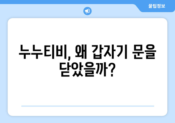 누누티비 종료: 자진 폐쇄와 대체 사이트