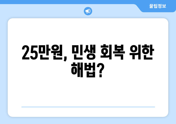 25만원 민생회복지원금의 논란과 갈등