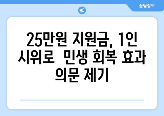 1인 시위로 반대하는 25만원 민생 회복 지원금