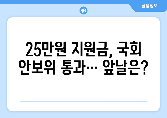 "25만원지원금" 논란이 국회 안보위 통과