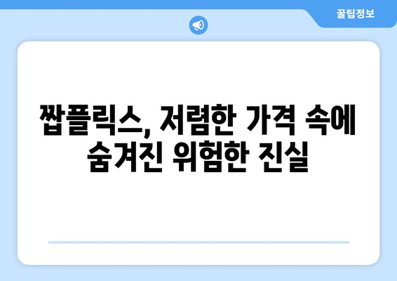 누누티비를 대체한 짭플릭스의 숨겨진 진실