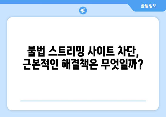 콘텐츠 도둑들에 대한 대책: 누누티비 이후 시급해진 개선