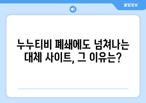 누누티비 대체 사이트 지속적 출현의 이유