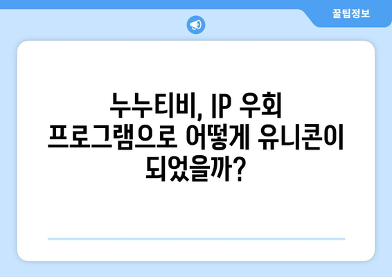 IP 우회 프로그램 유니콘 : 누누티비로 가치 상승