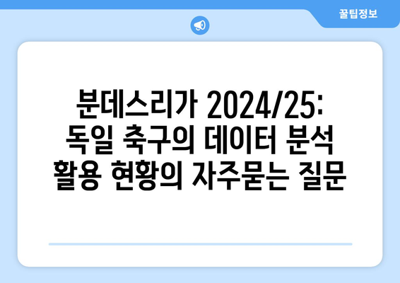 분데스리가 2024/25: 독일 축구의 데이터 분석 활용 현황