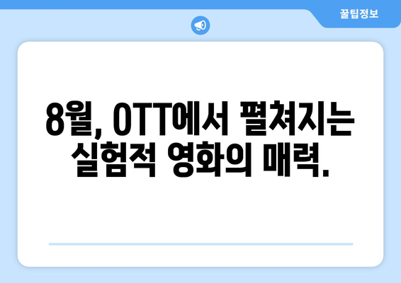 실험적 영화의 세계: 8월 OTT 아방가르드 작품