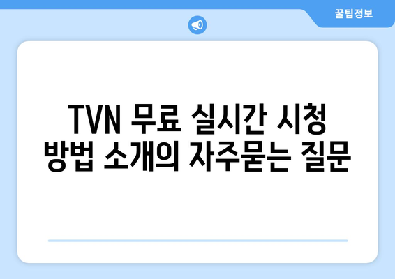 TVN 무료 실시간 시청 방법 소개