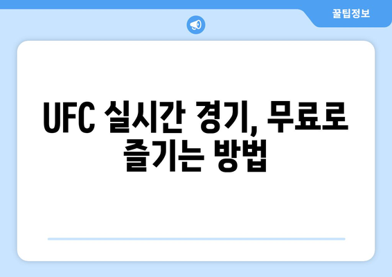 UFC 중계 방송 무료 시청 방법 알아보기