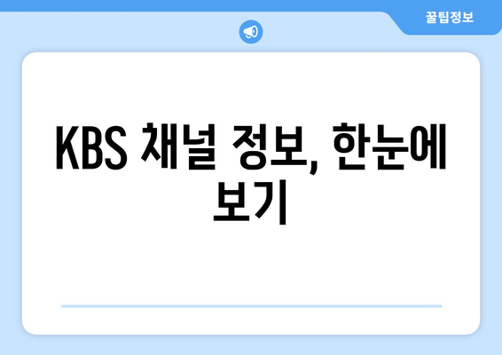 KBS 실시간 방송 시청 방법: 채널 정보와 편성표 안내