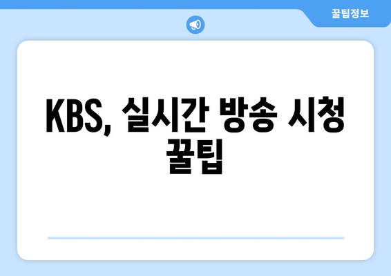 KBS 실시간 방송 시청 방법: 채널 정보 및 편성표 확인