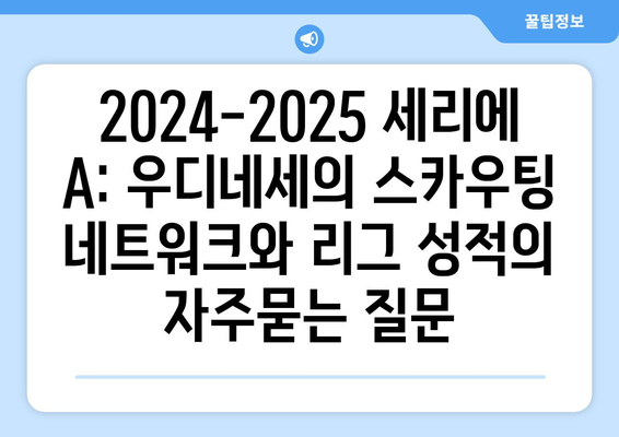 2024-2025 세리에 A: 우디네세의 스카우팅 네트워크와 리그 성적