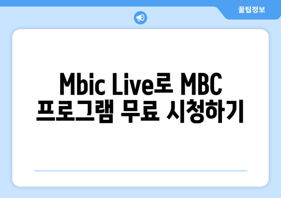 MBC 콘텐츠 무료 시청 꿀팁: Mbic Live 사용 가이드