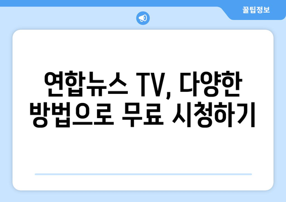 연합뉴스 TV 편성표 및 무료 TV 시청 방법 안내