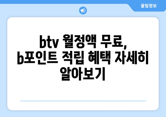 btv 월정액 무료 및 b포인트 적립혜택