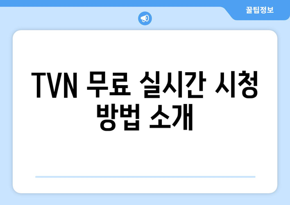 TVN 무료 실시간 시청 방법 소개