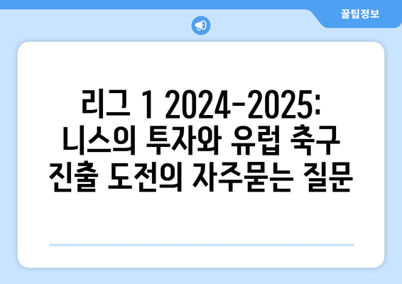 리그 1 2024-2025: 니스의 투자와 유럽 축구 진출 도전