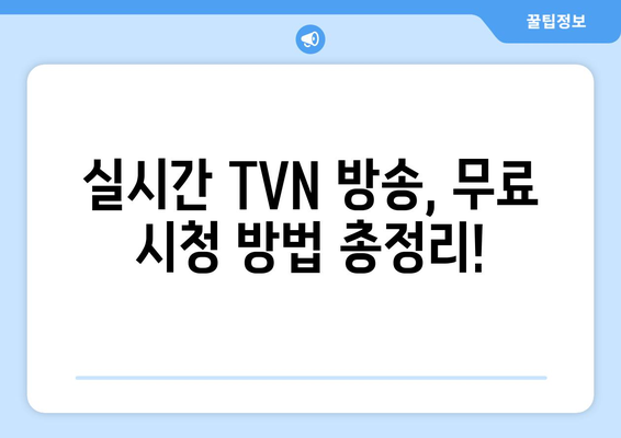 실시간 TVN 무료 시청 방법 소개