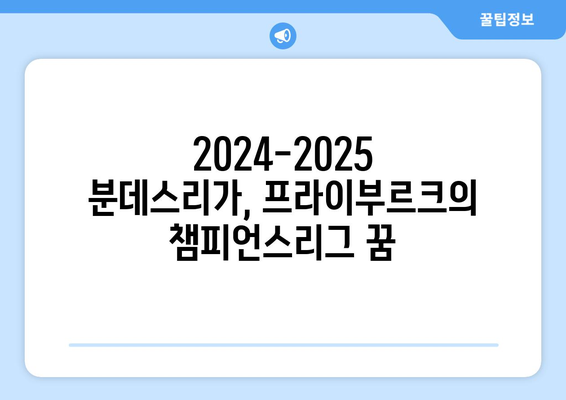 분데스리가 2024-2025: SC 프라이부르크의 꾸준한 성과와 유럽 진출 도전