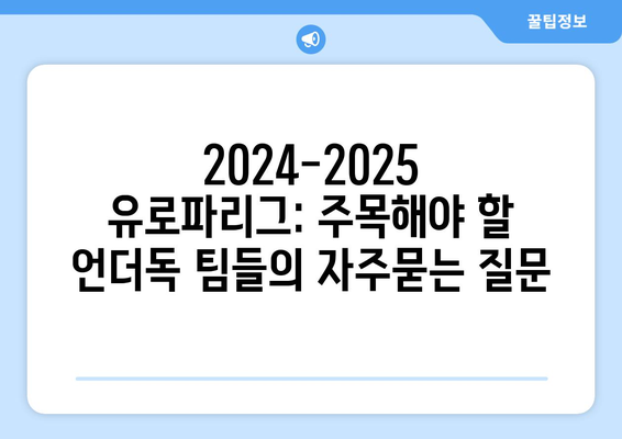 2024-2025 유로파리그: 주목해야 할 언더독 팀들