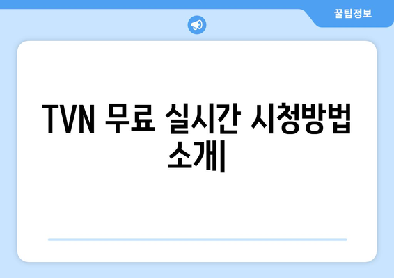 TVN 무료 실시간 시청방법 소개