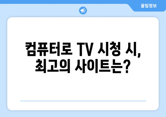 컴퓨터로 TV 무료 및 유료 시청: 사이트 추천