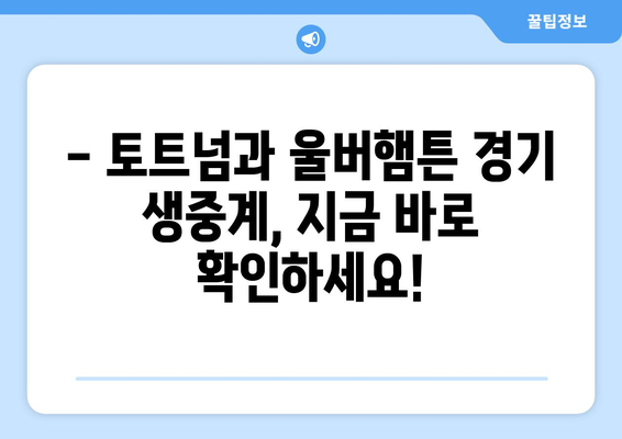 토트넘과 울버햄튼 리그 경기 중계 일정과 무료 시청 방법