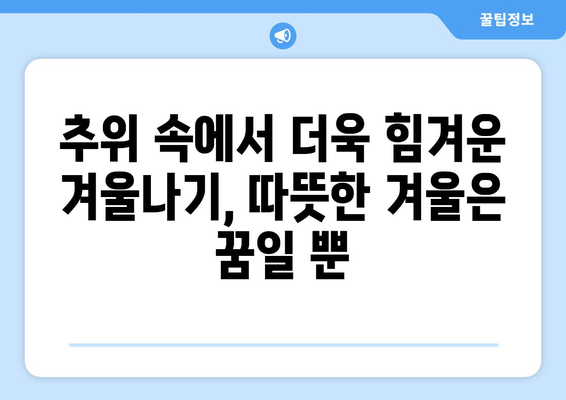 찬바람에 떠는 취약 계층 에너지 바우처 예산 삭감