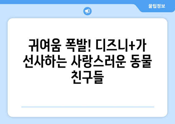 2024 8월 디즈니플러스 공개 동물 영화 라인업