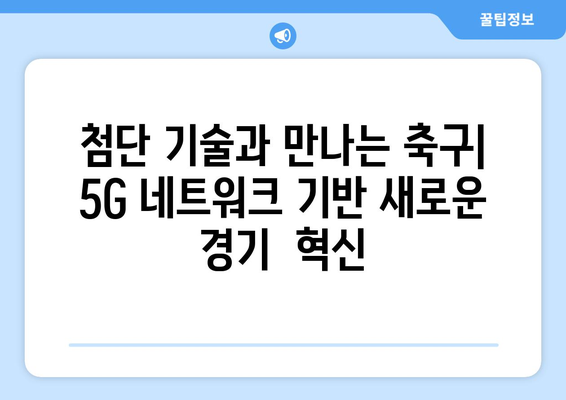 2024-25 프리미어리그: 경기장 5G 네트워크 구축 현황