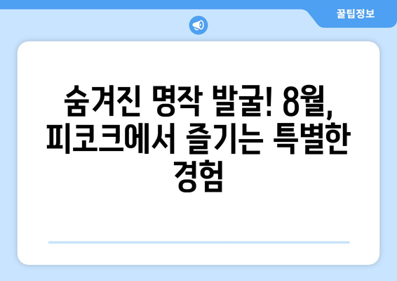 피코크에서 발견한 숨은 보석: 2024년 8월 추천작