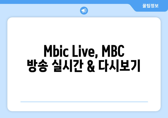 MBC 콘텐츠 무료 시청 꿀팁: Mbic Live 사용 가이드