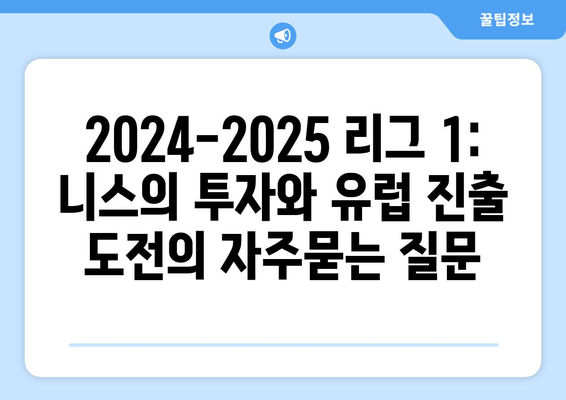 2024-2025 리그 1: 니스의 투자와 유럽 진출 도전